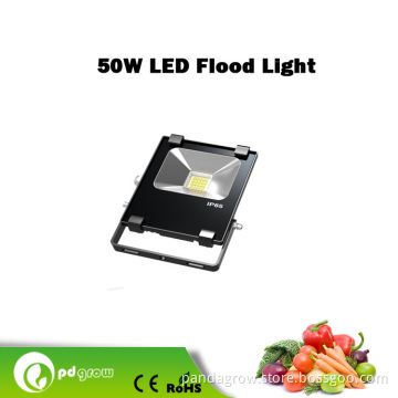 50W Outdoor Waterproof High Lumen LED Flood Light